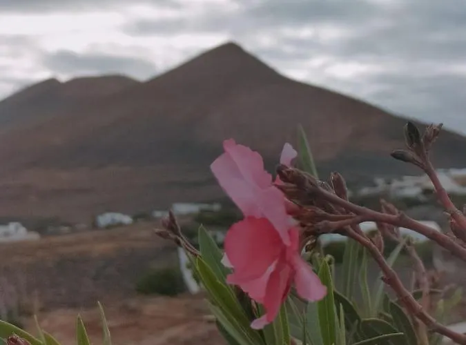 La Morreta Ii - Lanzarote דירה *