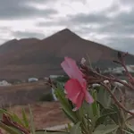 La Morreta Ii - Lanzarote Apartment *