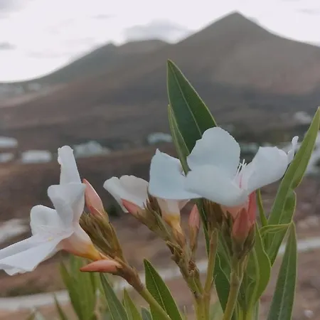 La Morreta Ii - Lanzarote Tias