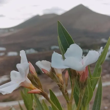 La Morreta Ii - Lanzarote Tias