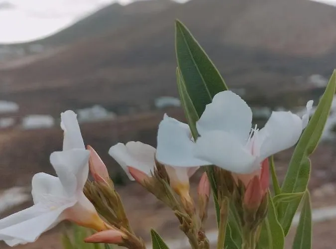 La Morreta Ii - Lanzarote تياس